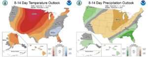 upcoming temperature and precipitation predictions