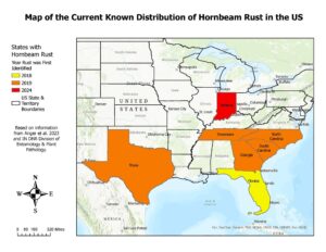 current distribution of hornbeam rust in the US