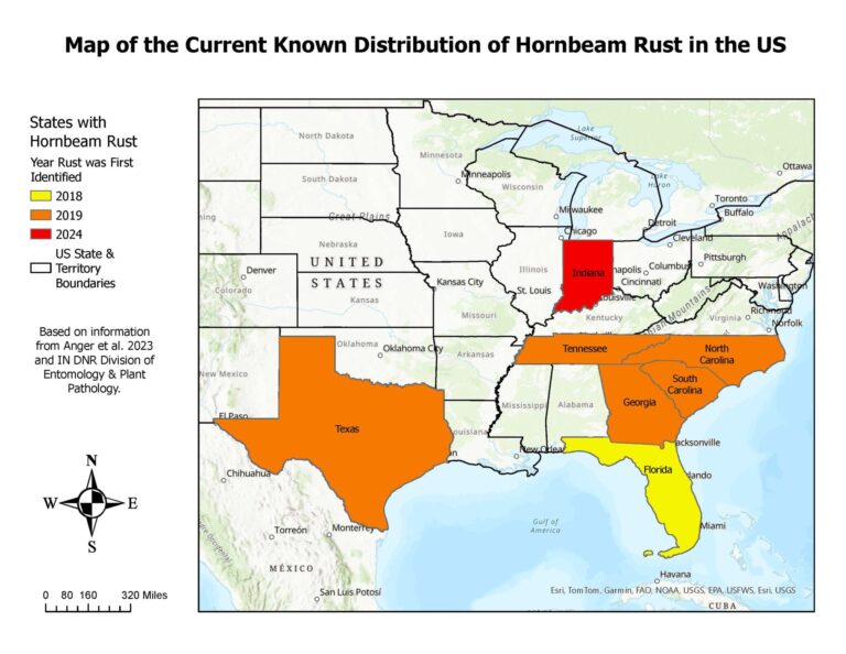 current distribution of hornbeam rust in the US