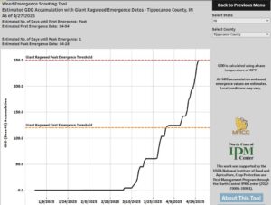 graph of current emergence of giant ragweed