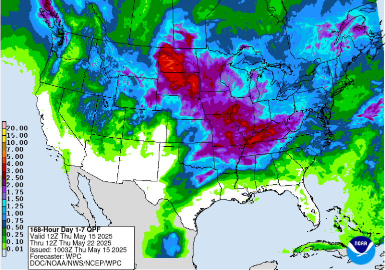 forecasted rainfall in the US