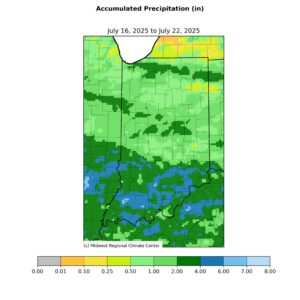 accumulated rainfall last week