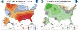 rainfall outlooks for the next 10 days