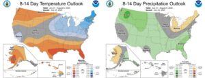 precipitation outlooks