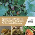 an illustrated glossary for diagnosing plant problems