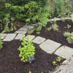 Figure 2. Wood chips create a clean, well-defined garden bed while conserving moisture and moderating soil temperature.