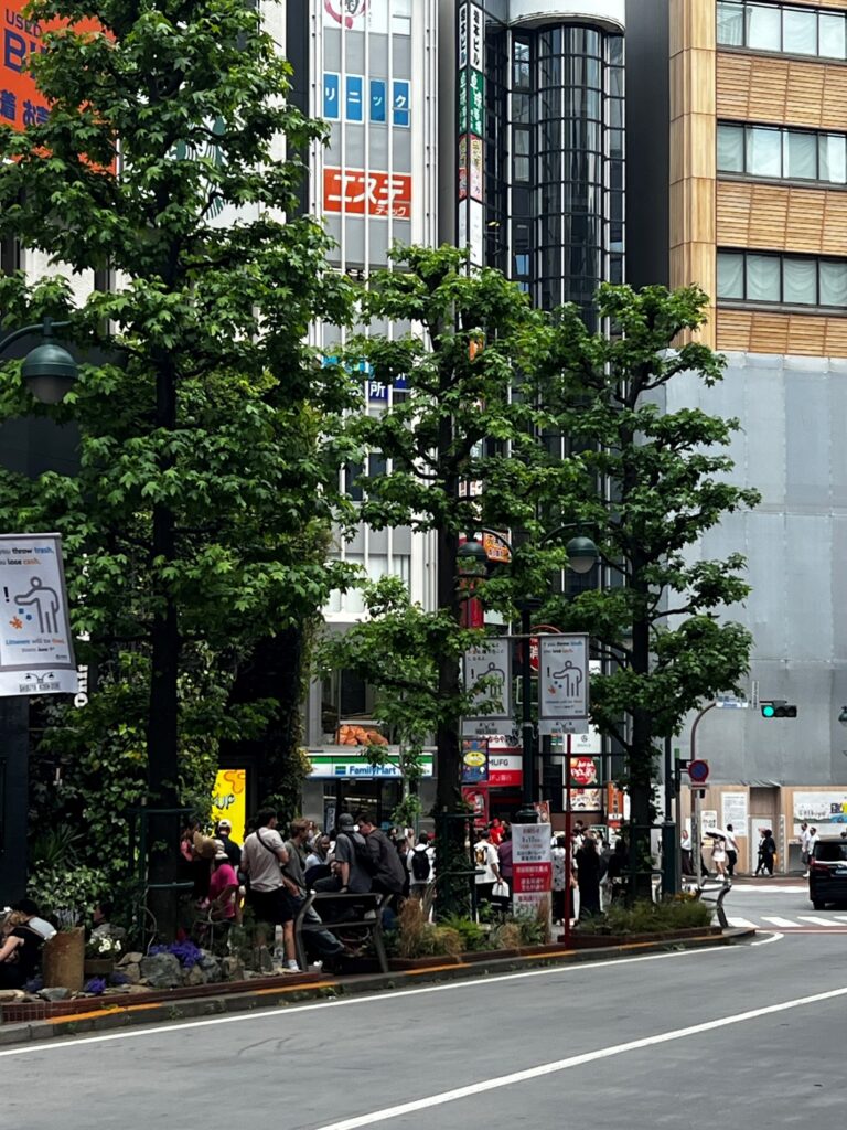 Figure 2: Pollarded street trees in Shibuya, Tokyo. Photo credit: Ben McCallister