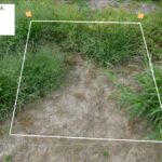 no mulch with Sureguard