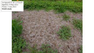 Combination of mulch and Sureguard