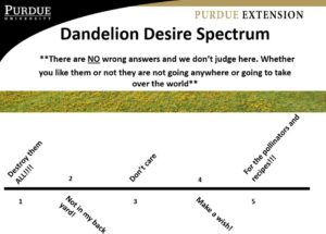 dandelion desire spectrum chart