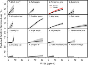 tree species susceptibility to ozone