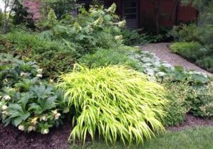 Growing Perennial Flowers